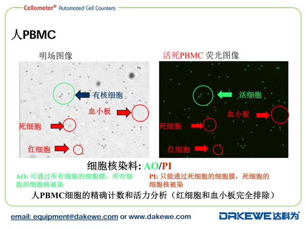 Auto2000细胞计数仪计数PBMC样本案例